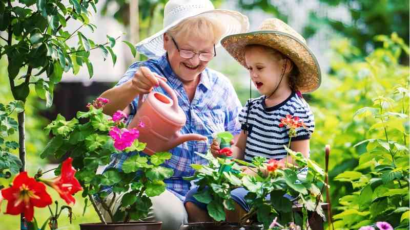 Greenery under the sunset - Gardening is a happy time for the elderly