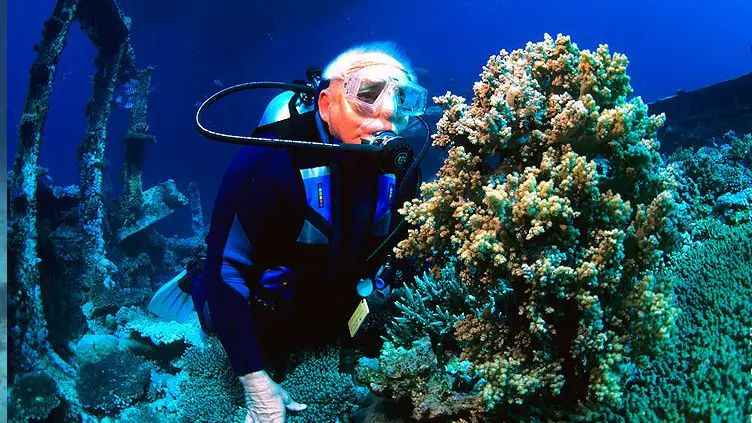 Age is not a barrier! How can the elderly safely enjoy the physical and mental benefits of diving?